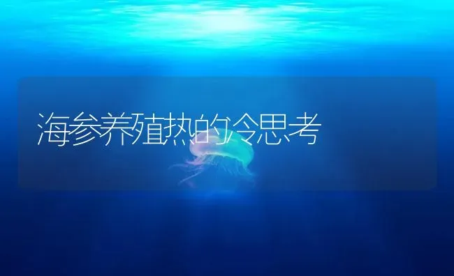 海参养殖热的冷思考 | 海水养殖