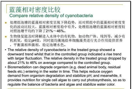 江兴龙教授谈池塘生物膜低碳养殖技术