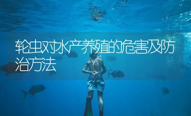 轮虫对水产养殖的危害及防治方法 | 养殖病虫害防治