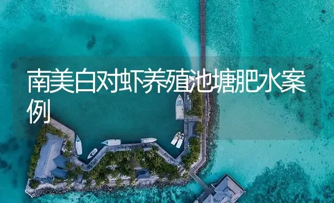 南美白对虾养殖池塘肥水案例 | 海水养殖