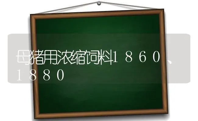 母猪用浓缩饲料1860、1880 | 家畜养殖