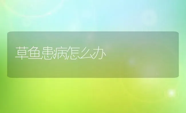 草鱼患病怎么办 | 淡水养殖