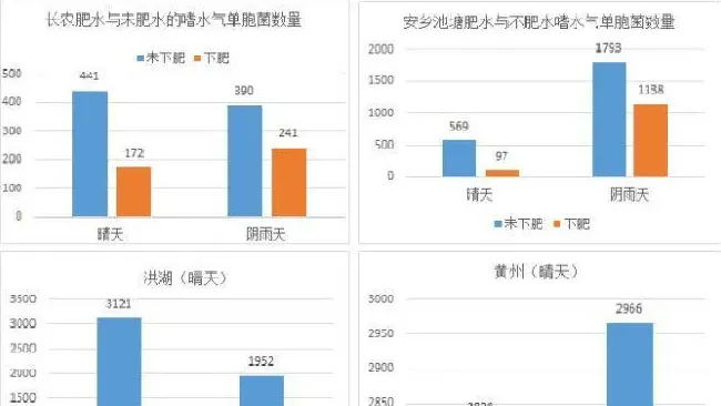 重大发现！原来是嗜水气单胞菌老让池塘发病