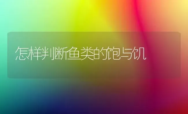 怎样判断鱼类的饱与饥 | 淡水养殖
