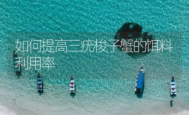 如何提高三疣梭子蟹的饵料利用率 | 海水养殖