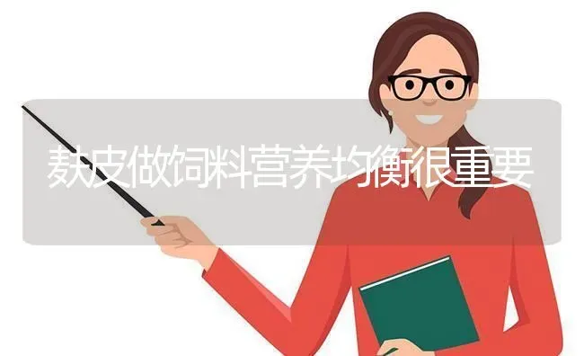 麸皮做饲料营养均衡很重要 | 动物养殖饲料