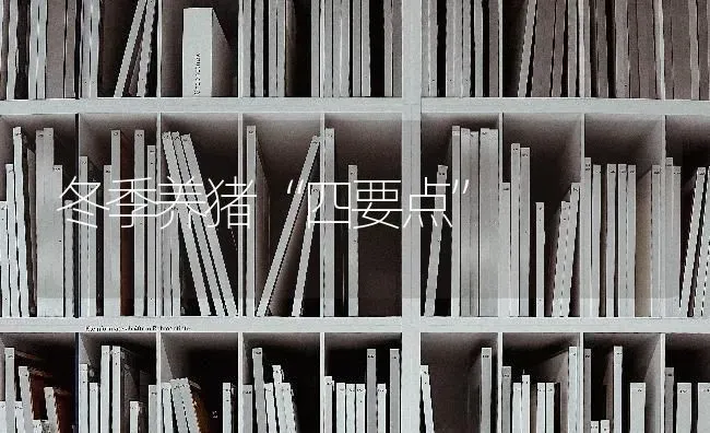 冬季养猪“四要点” | 家畜养殖