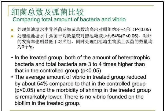 江兴龙教授谈池塘生物膜低碳养殖技术