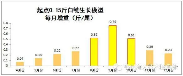 要想产量有所突破，花白鲢养殖户必须掌握的生长特性