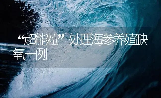 “超能粒”处理海参养殖缺氧一例 | 海水养殖