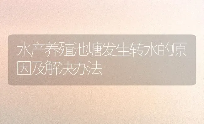 水产养殖池塘发生转水的原因及解决办法 | 动物养殖百科