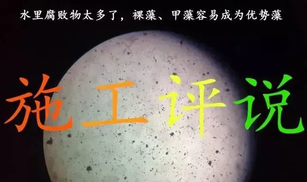 那种南美白对虾养殖模式，成功率肯定高！