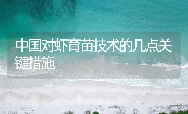 中国对虾育苗技术的几点关键措施 | 海水养殖