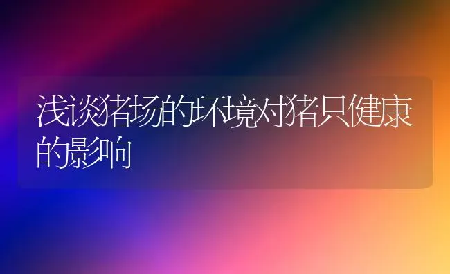 浅谈猪场的环境对猪只健康的影响 | 家畜养殖