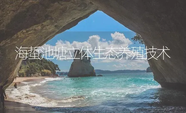 海蜇池塘立体生态养殖技术 | 海水养殖