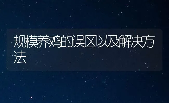 规模养鸡的误区以及解决方法 | 家禽养殖