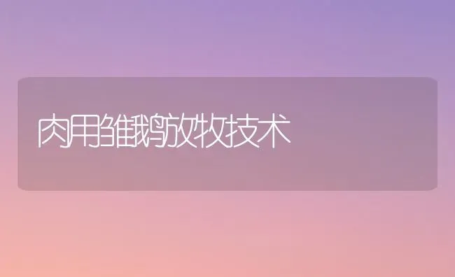 肉用雏鹅放牧技术 | 家禽养殖