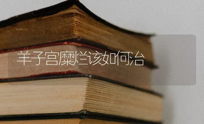 羊子宫糜烂该如何治 | 家畜养殖