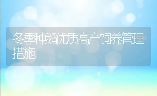 冬季种鹅优质高产饲养管理措施 | 家禽养殖