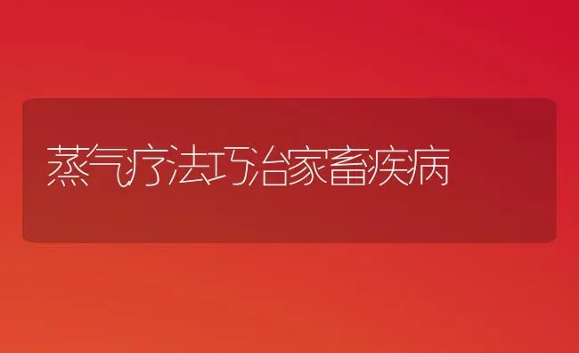 蒸气疗法巧治家畜疾病 | 家畜养殖