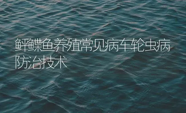 鲆鲽鱼养殖常见病车轮虫病防治技术 | 海水养殖