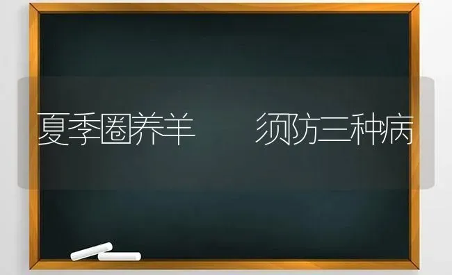 夏季圈养羊  须防三种病 | 家畜养殖