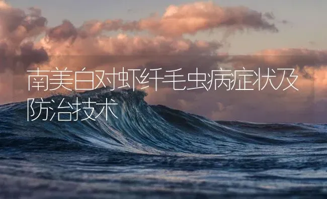 南美白对虾纤毛虫病症状及防治技术 | 海水养殖
