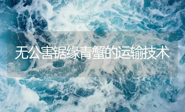 无公害锯缘青蟹的运输技术 | 海水养殖