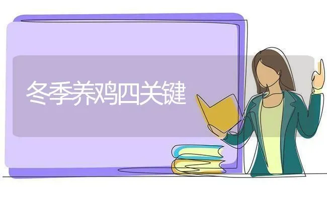 冬季养鸡四关键 | 家禽养殖
