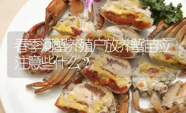 春季河蟹养殖户放养蟹苗应注意些什么？ | 淡水养殖