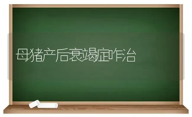 母猪产后衰竭症咋治 | 家畜养殖
