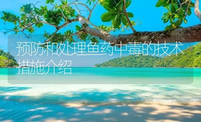 预防和处理鱼药中毒的技术措施介绍 | 养殖病虫害防治