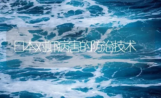 日本对虾病害的防治技术 | 海水养殖
