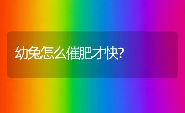 幼兔怎么催肥才快？ | 家畜养殖