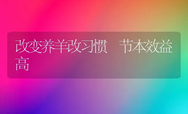 改变养羊改习惯 节本效益高 | 家畜养殖