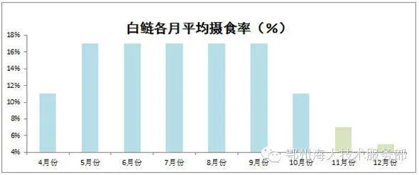 要想产量有所突破，花白鲢养殖户必须掌握的生长特性