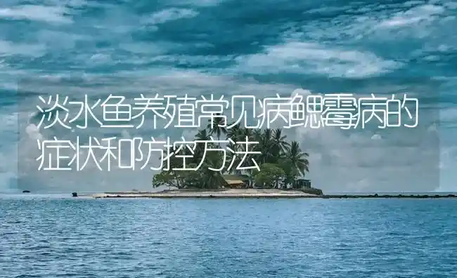 淡水鱼养殖常见病鳃霉病的症状和防控方法 | 养殖病虫害防治