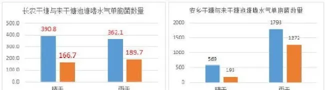 重大发现！原来是嗜水气单胞菌老让池塘发病