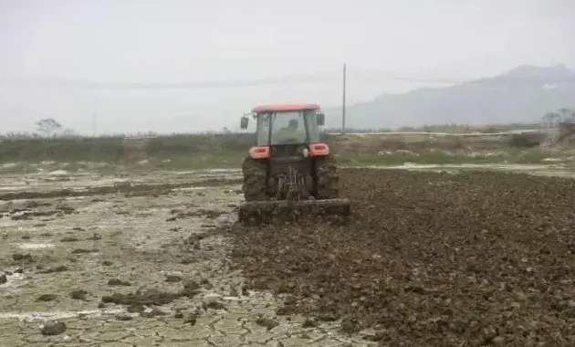 看养殖高手如何提高鳜鱼标粗成功率