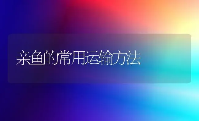 亲鱼的常用运输方法 | 淡水养殖