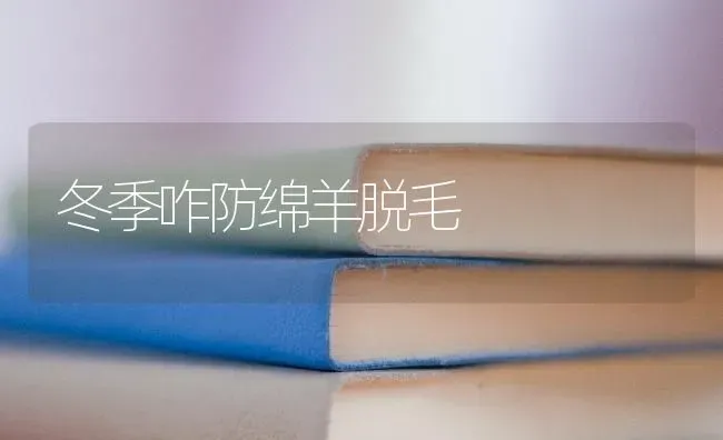 冬季咋防绵羊脱毛 | 家畜养殖