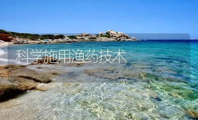 科学施用渔药技术 | 养殖病虫害防治