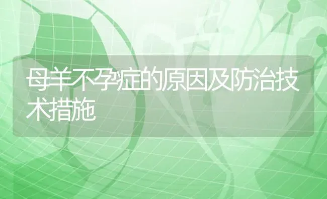 母羊不孕症的原因及防治技术措施 | 家畜养殖