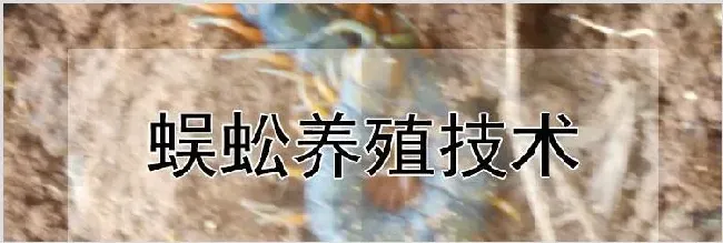 蜈蚣养殖技术 | 农业养殖技术