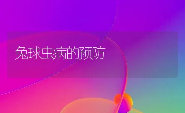 兔球虫病的预防 | 家畜养殖