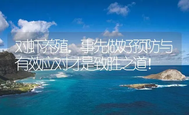 对虾养殖，事先做好预防与有效应对才是致胜之道！ | 海水养殖