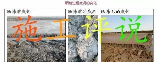 那种南美白对虾养殖模式，成功率肯定高！