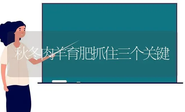 秋冬肉羊育肥抓住三个关键 | 家畜养殖