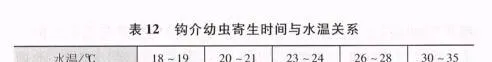 河蚌人工育苗技术