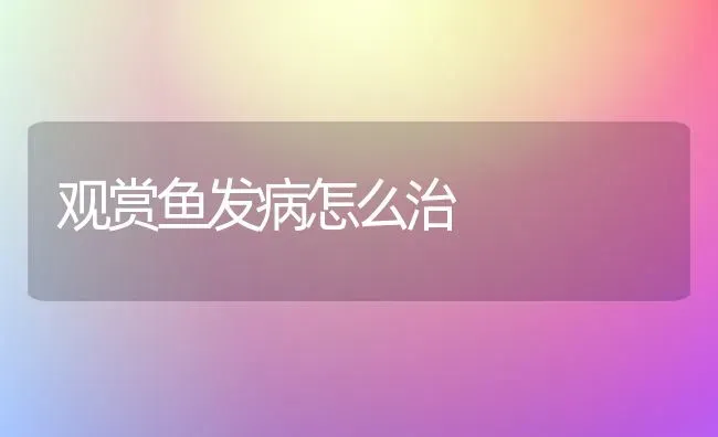 观赏鱼发病怎么治 | 淡水养殖